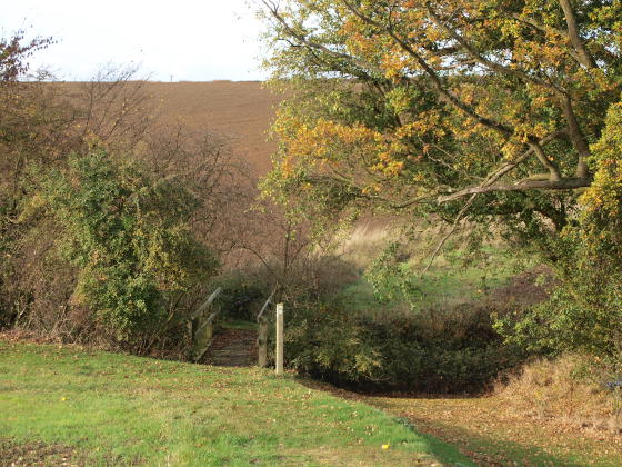 A footbridge leading to a muddy field